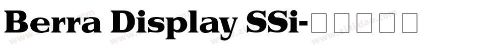 Berra Display SSi字体转换